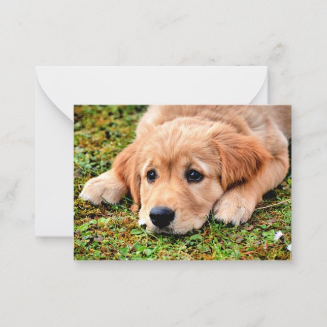 Tarjeta Pequeña Golden Retriever Puppy (Anverso)