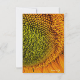 Tarjeta Pequeña Gran Girasol del Centro Verde