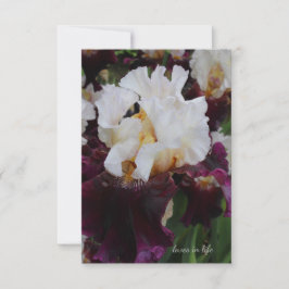 Tarjeta Pequeña Gran iris morado y blanco