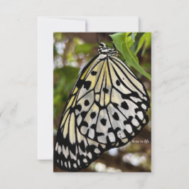 Tarjeta Pequeña Gran mariposa blanca y negra