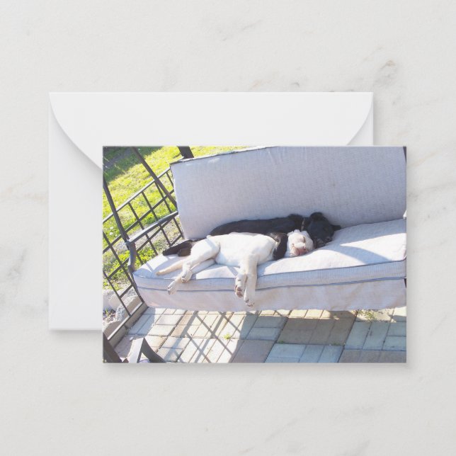 Tarjeta Pequeña grupo de laboratorio durmiendo (Anverso)