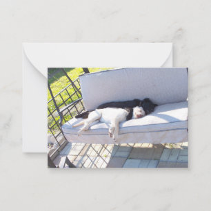 Tarjeta Pequeña grupo de laboratorio durmiendo