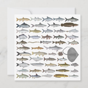 Tarjeta Pequeña Grupo de peces de agua dulce del sur de Asia