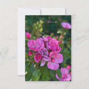 Tarjeta Pequeña Grupo de rosas rosadas