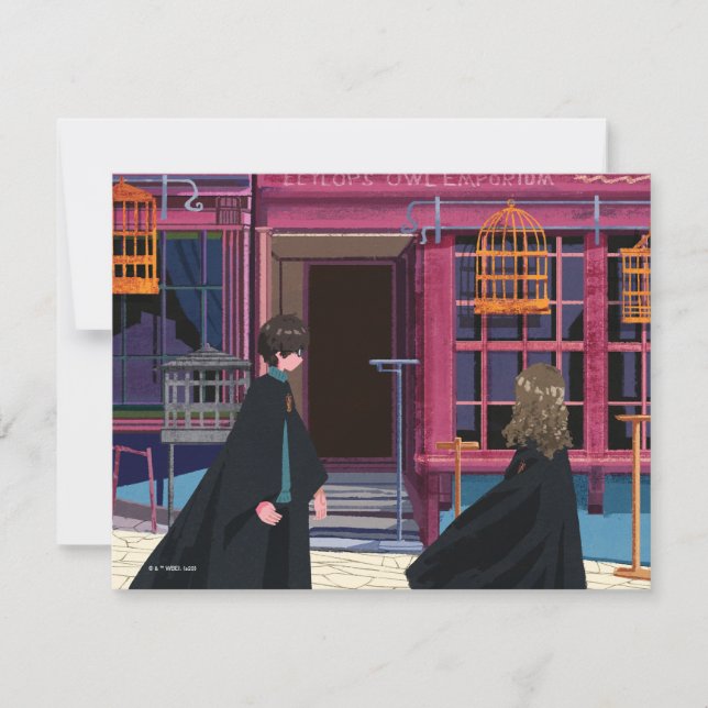Tarjeta Pequeña HARRY POTTER™ y Hermione en Eeylops Owl Emporium (Anverso)