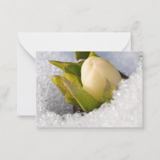 Tarjeta Pequeña Hellebore creciendo a través de la nieve,