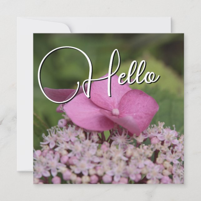 Tarjeta Pequeña Hello naissance souhaiter bienvenue saluer rose (Anverso)