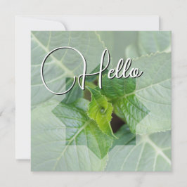 Tarjeta Pequeña Hello naissance souhaiter bienvenue saluer vert