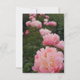 Tarjeta Pequeña Hermosa fila de peones rosados