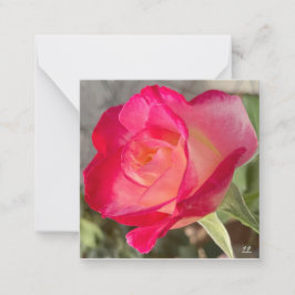 Tarjeta Pequeña Hermosa Rosa