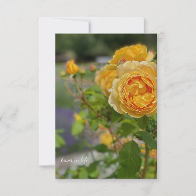 Tarjeta Pequeña Hermosa rosa amarilla (Anverso)