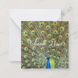 Tarjeta Pequeña Hermoso majestuoso pavo real Gracias
