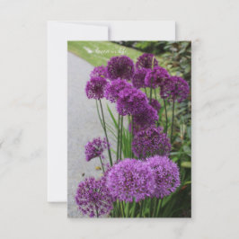 Tarjeta Pequeña Hermosos Aliados