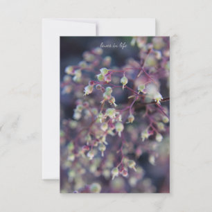 Tarjeta Pequeña Heuchera Flower