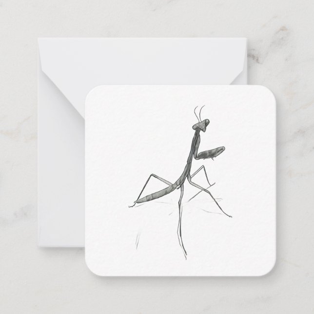 Tarjeta Pequeña Hi there! Praying Mantis (Anverso)