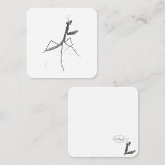 Tarjeta Pequeña Hi there! Praying Mantis