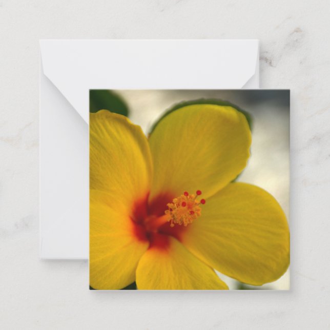 Tarjeta Pequeña Hibiscus amarillo (Anverso)