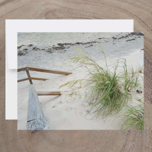 Tarjeta Pequeña Hierba marina y duna de arena blanca Playa fotográ