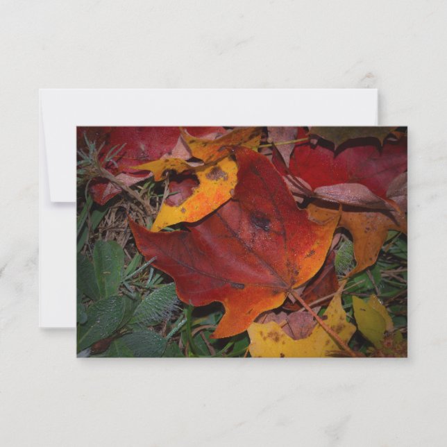 Tarjeta Pequeña Hojas de Otoño Vibrantes (Anverso)