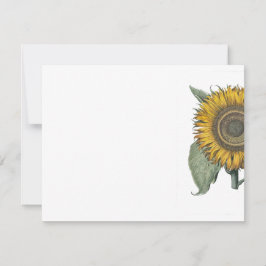 Tarjeta Pequeña Hortus Eystettensis de girasol, 1713