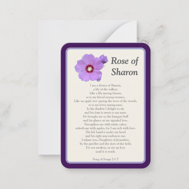Tarjeta Pequeña "Hoy he rezado por ti" Rosa de Sharon Notecard (Anverso)