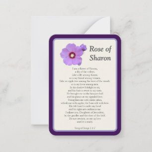Tarjeta Pequeña "Hoy he rezado por ti" Rosa de Sharon Notecard