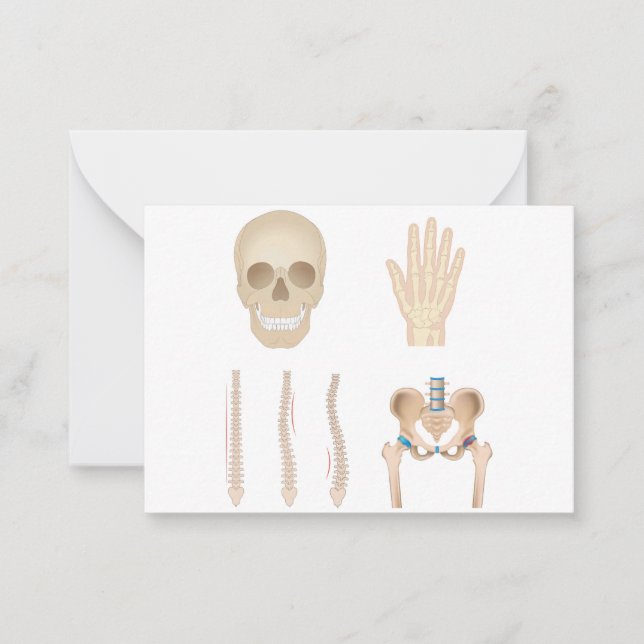 Tarjeta Pequeña Hueso humano (Anverso)
