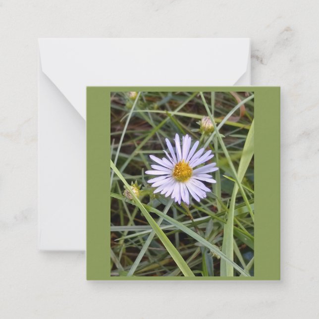 Tarjeta Pequeña Humble foto de margarita (Anverso)