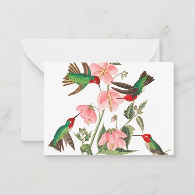 Tarjeta Pequeña Humming colombiano por John James Audubon (Anverso)