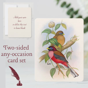 Tarjeta Pequeña Ilustracion de pájaro de color
