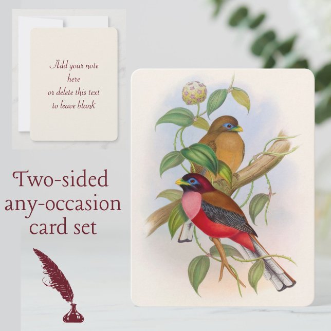 Tarjeta Pequeña Ilustracion de pájaro de color (A beautiful vintage birds card set for any occasion!)
