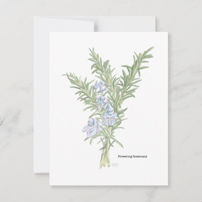 Tarjeta Pequeña Ilustración de romero en flor (Anverso)