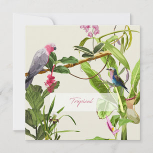 Tarjeta Pequeña Ilustracion tropical de loro rosa exótico