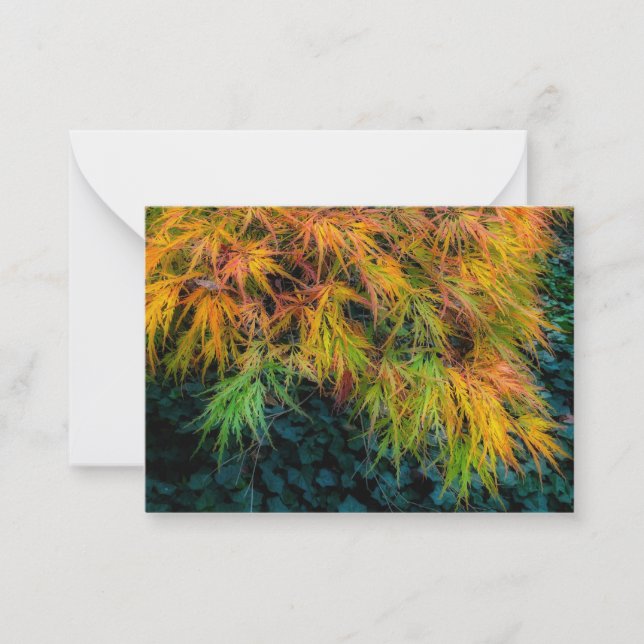 Tarjeta Pequeña Impresiones de otoño de arce japonesas (Anverso)