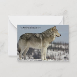 Tarjeta Pequeña Invierno - Lobo