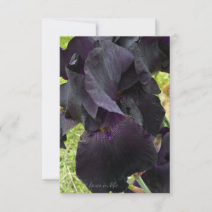 Tarjeta Pequeña Iris negro