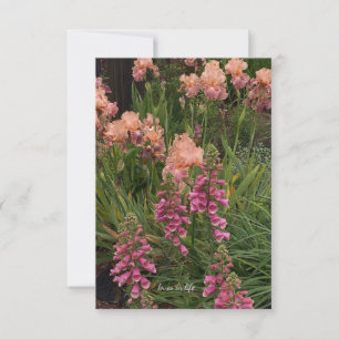 Tarjeta Pequeña Iris Peach, Foxglove Rosa