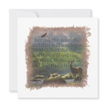 JOB 12:7 - Personalized Notecard