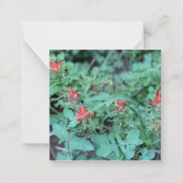 TARJETA PEQUEÑA JOLLY JULY