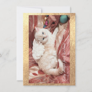 Tarjeta Pequeña Kitty Angel para Navidad