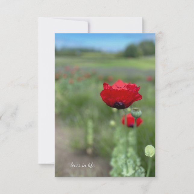 Tarjeta Pequeña La adormidera roja soñada (Anverso)