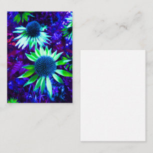 Tarjeta Pequeña La floración de Echinacea oriental
