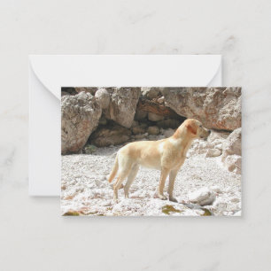 Tarjeta Pequeña labrador amarillo completo LR