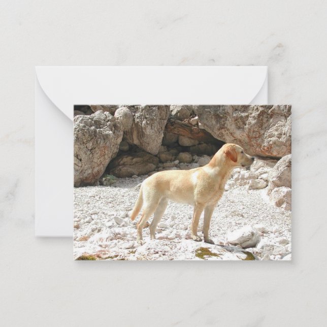 Tarjeta Pequeña labrador amarillo LR completo (Anverso)