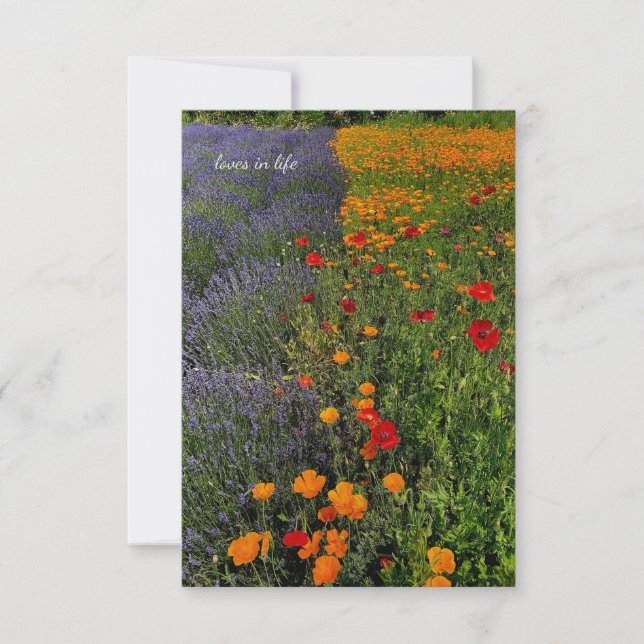 Tarjeta Pequeña Lavanda y cachorros (Anverso)