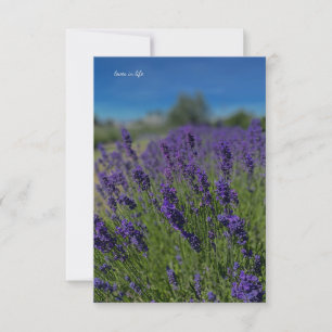 Tarjeta Pequeña Lavanda y cielo azul
