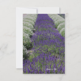 Tarjeta Pequeña Lavanda y filas blancas