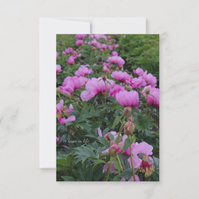 Tarjeta Pequeña Lavender Peonies (Anverso)