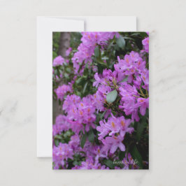 Tarjeta Pequeña Lavender Rhododendron