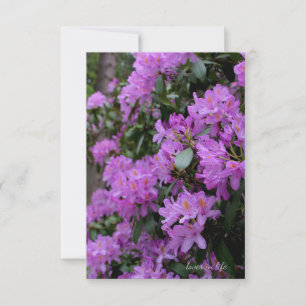 Tarjeta Pequeña Lavender Rhododendron